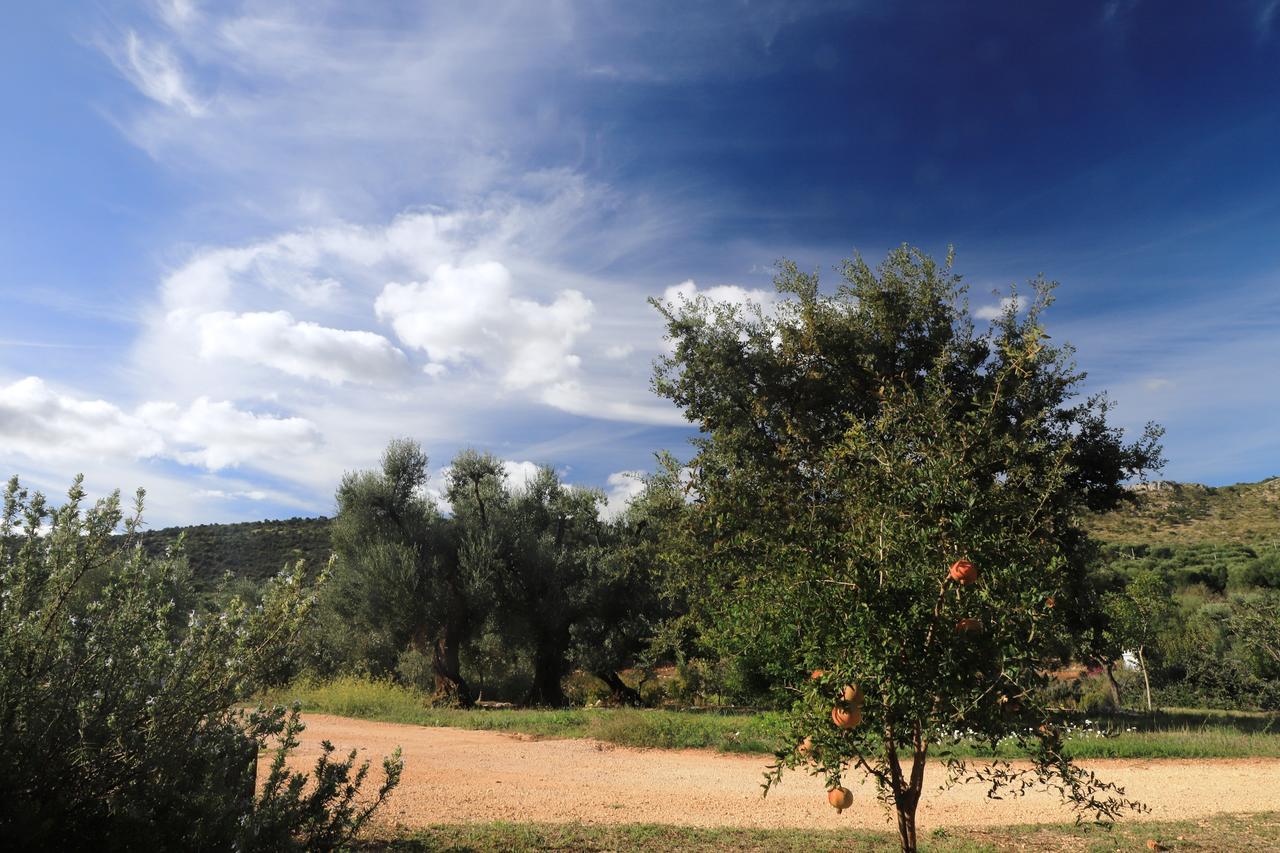 Masseria Lama Di Galizia Ostuni Exterior foto