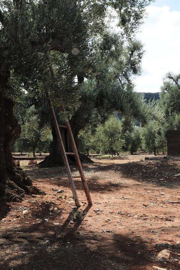 Masseria Lama Di Galizia Ostuni Exterior foto